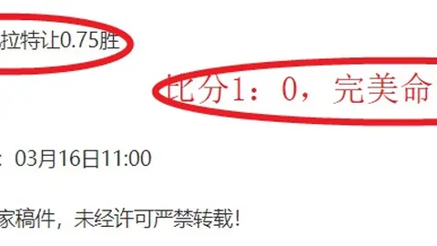 北马“学霸”跑者：数字竞技中的马拉松征途